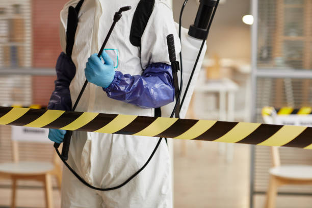 Professional Hoarding Cleanup technician working in Kittery Point, ME